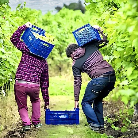 Дом отдыха Warm House In Banos De Valdearados, Farm Close To Town *