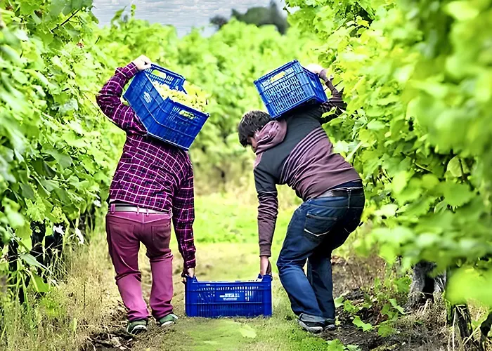 Tatil Evi Warm House In Banos De Valdearados, Farm Close To Town *